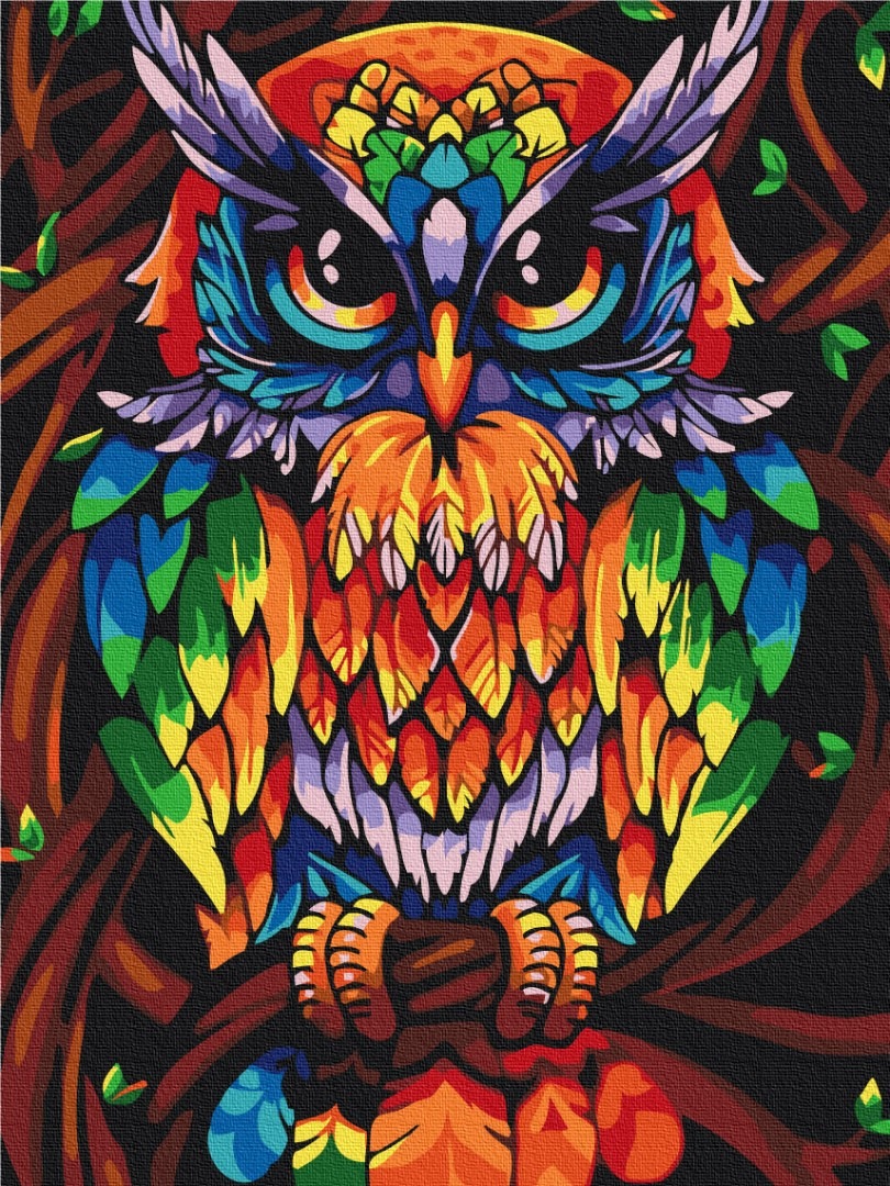 Mal efter tal - Rainbow wise owl