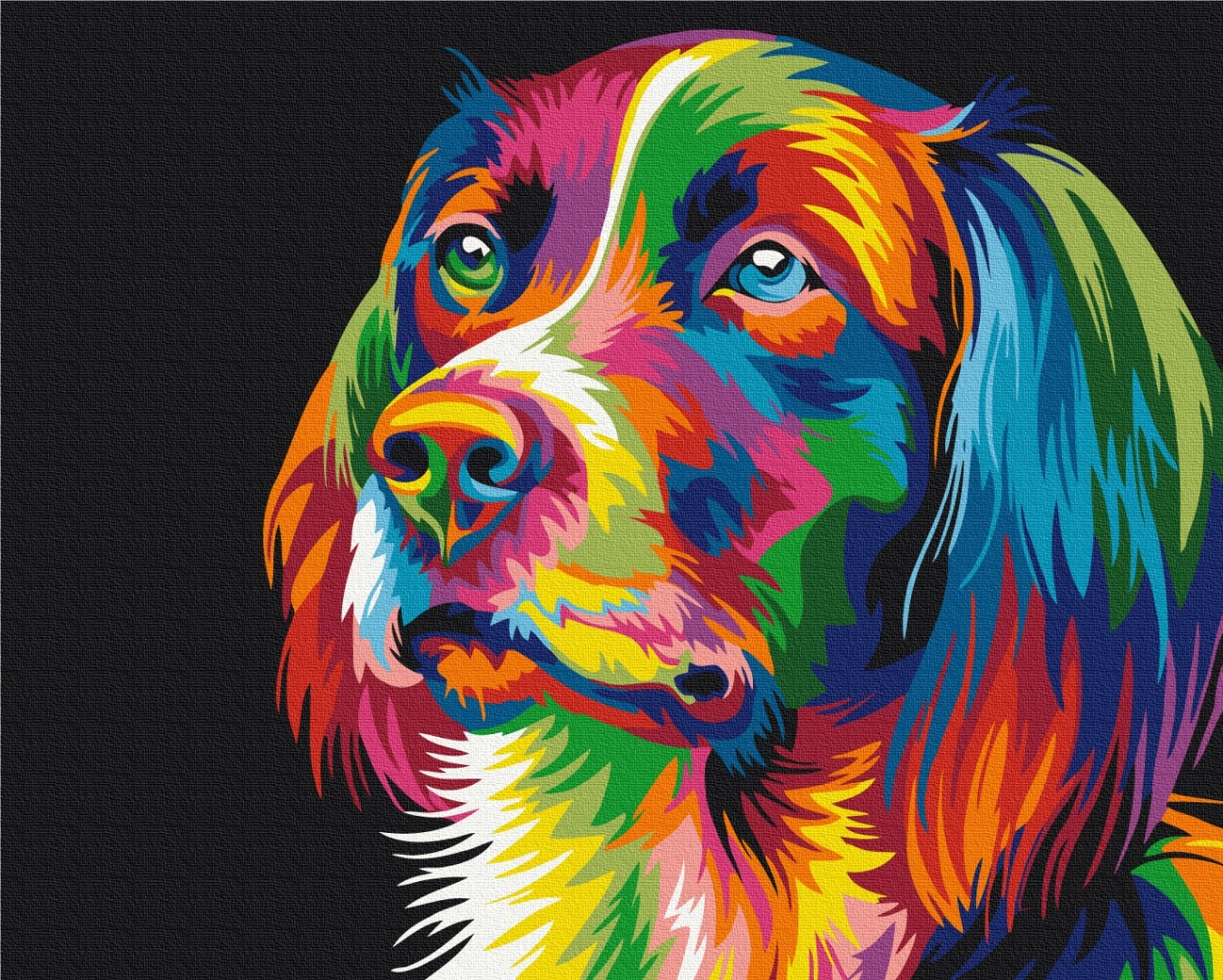 Mal efter tal - Rainbow dog