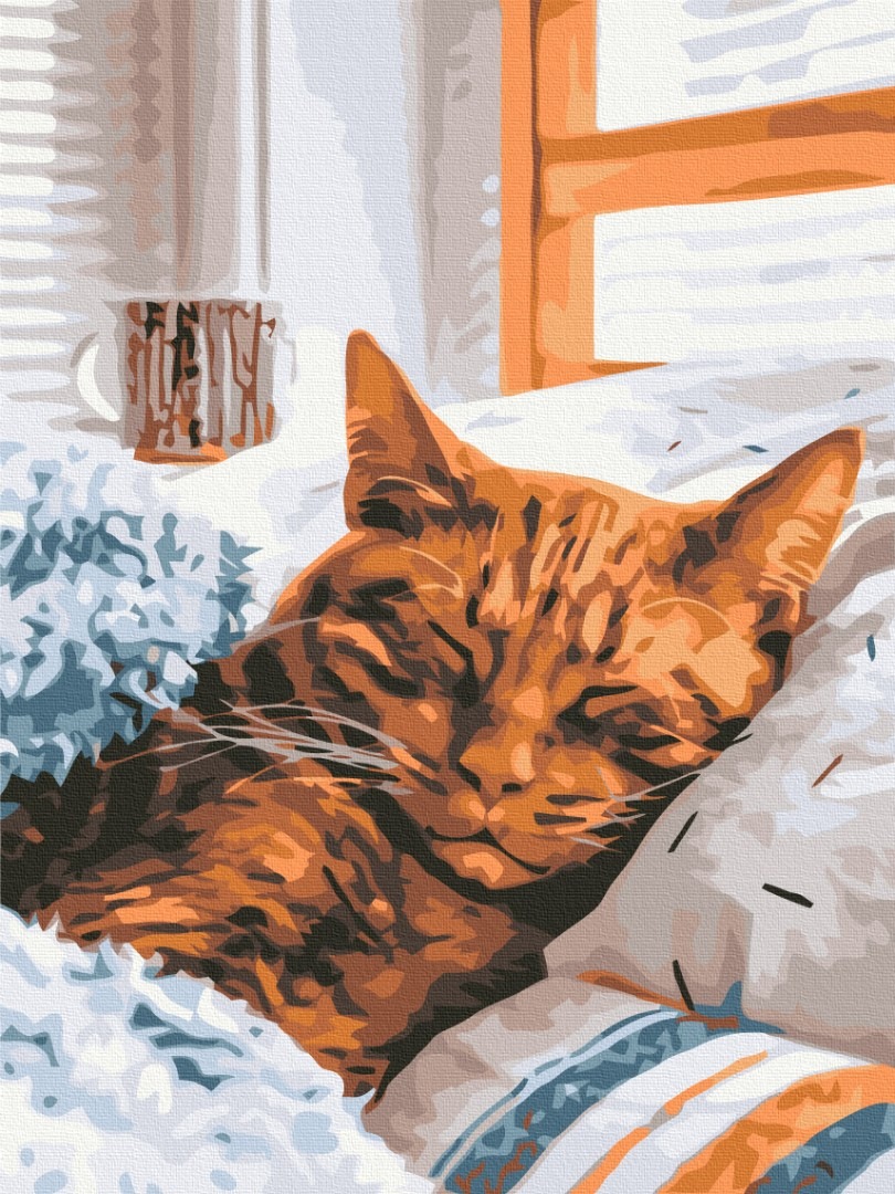 Mal efter tal - Morning cat