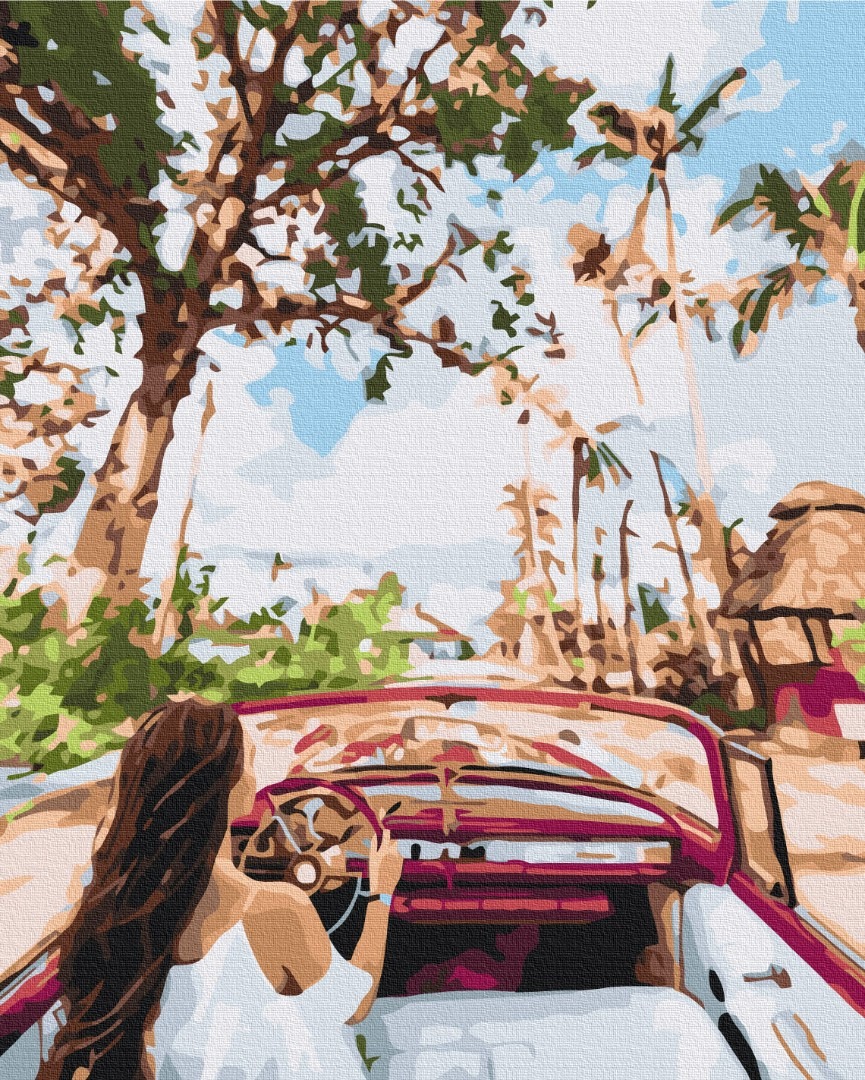 Mal efter tal - The streets of Cuba