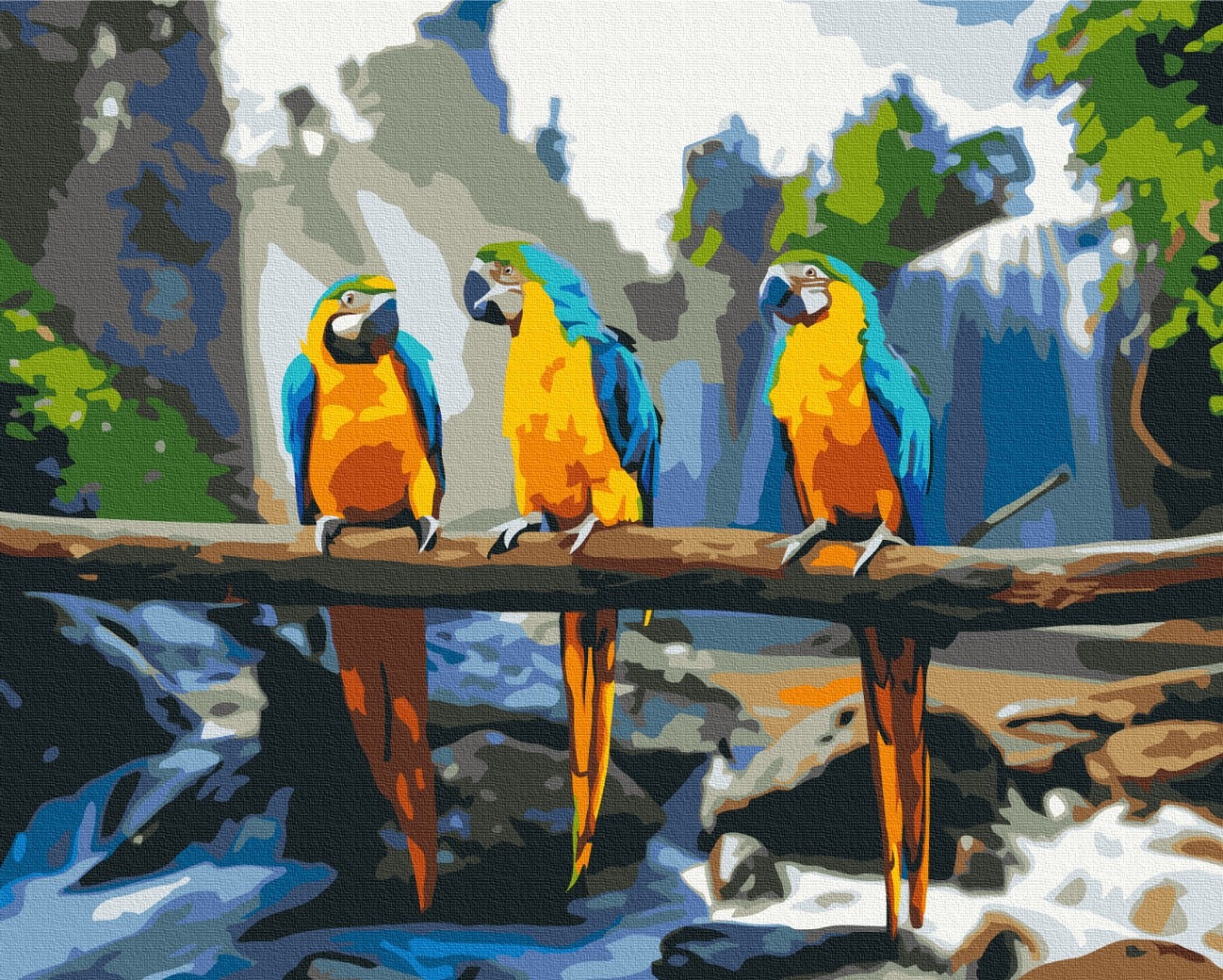 Mal efter tal - Tropical macaw
