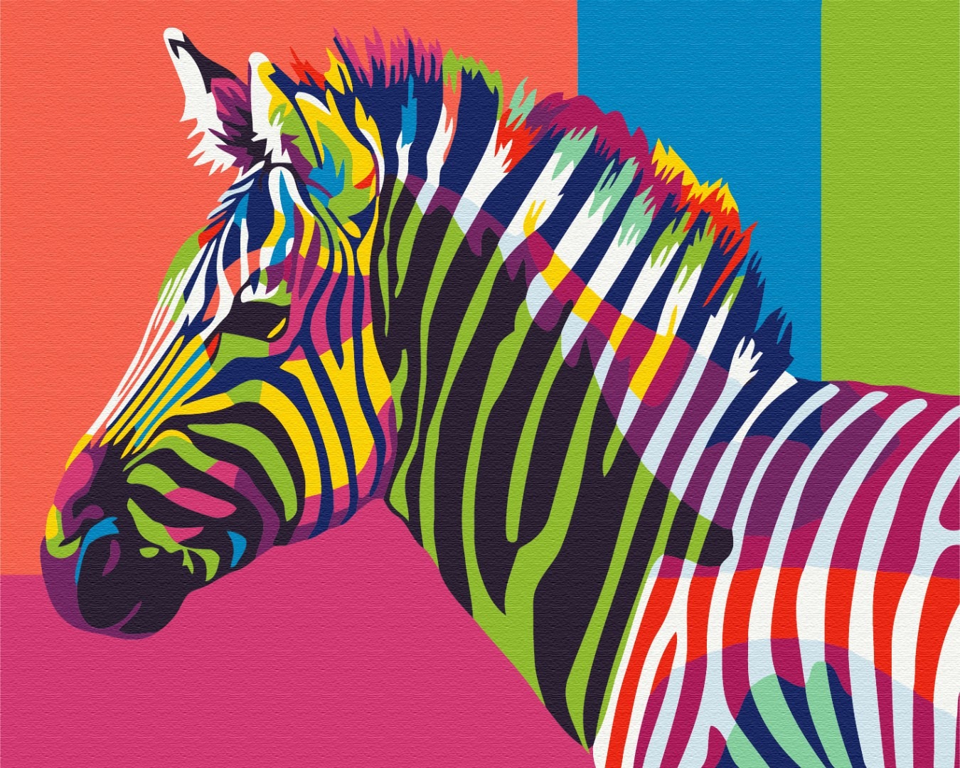 Mal efter tal - Rainbow zebra