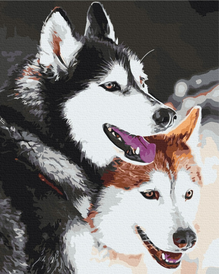 Mal efter tal - Husky