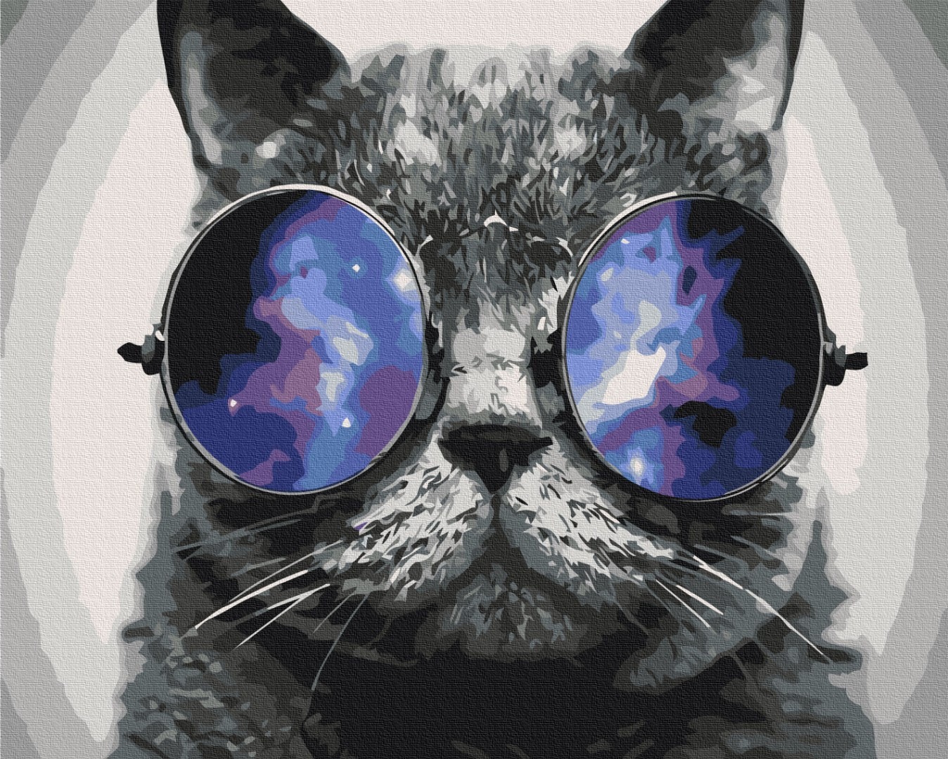 Mal efter tal - Kitty in Miami