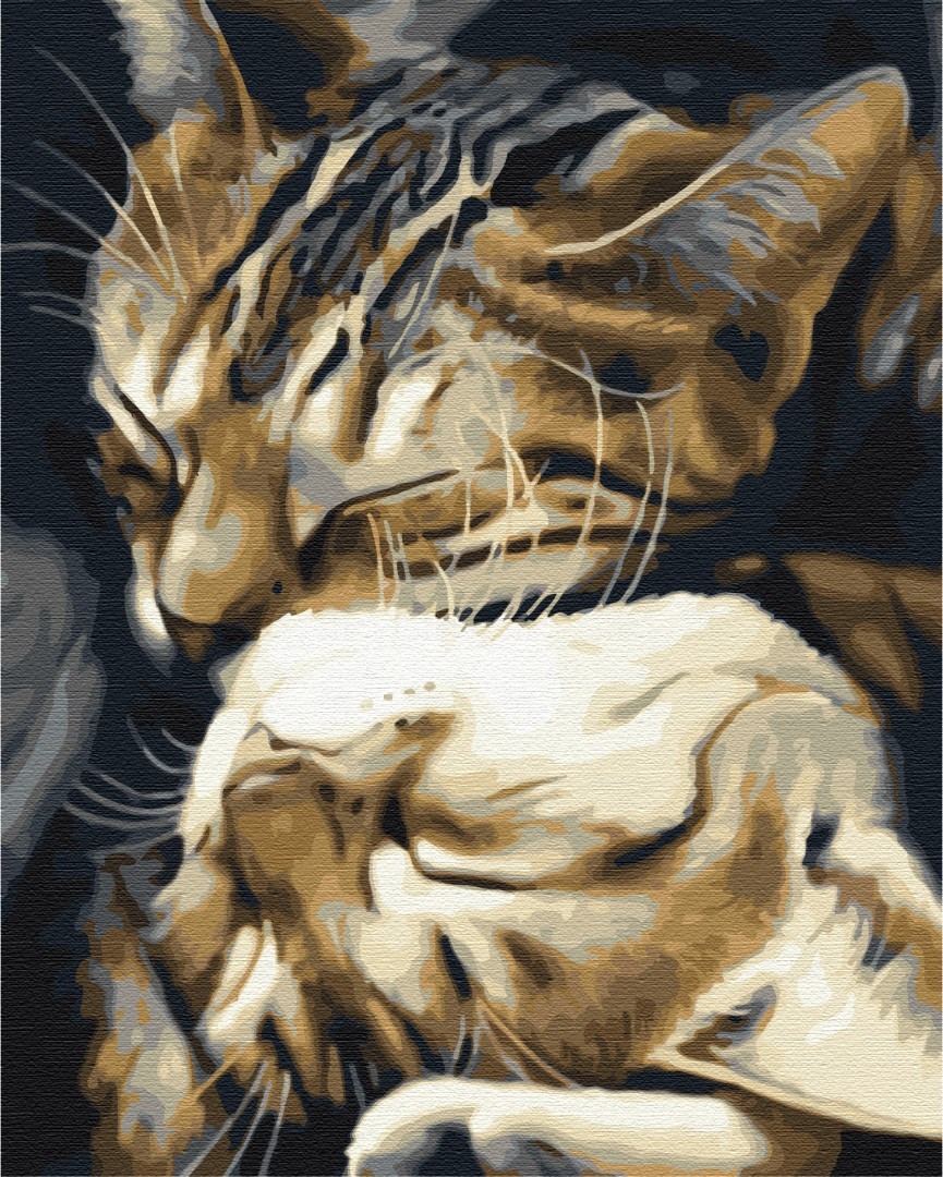 Mal efter tal - Sleeping cats