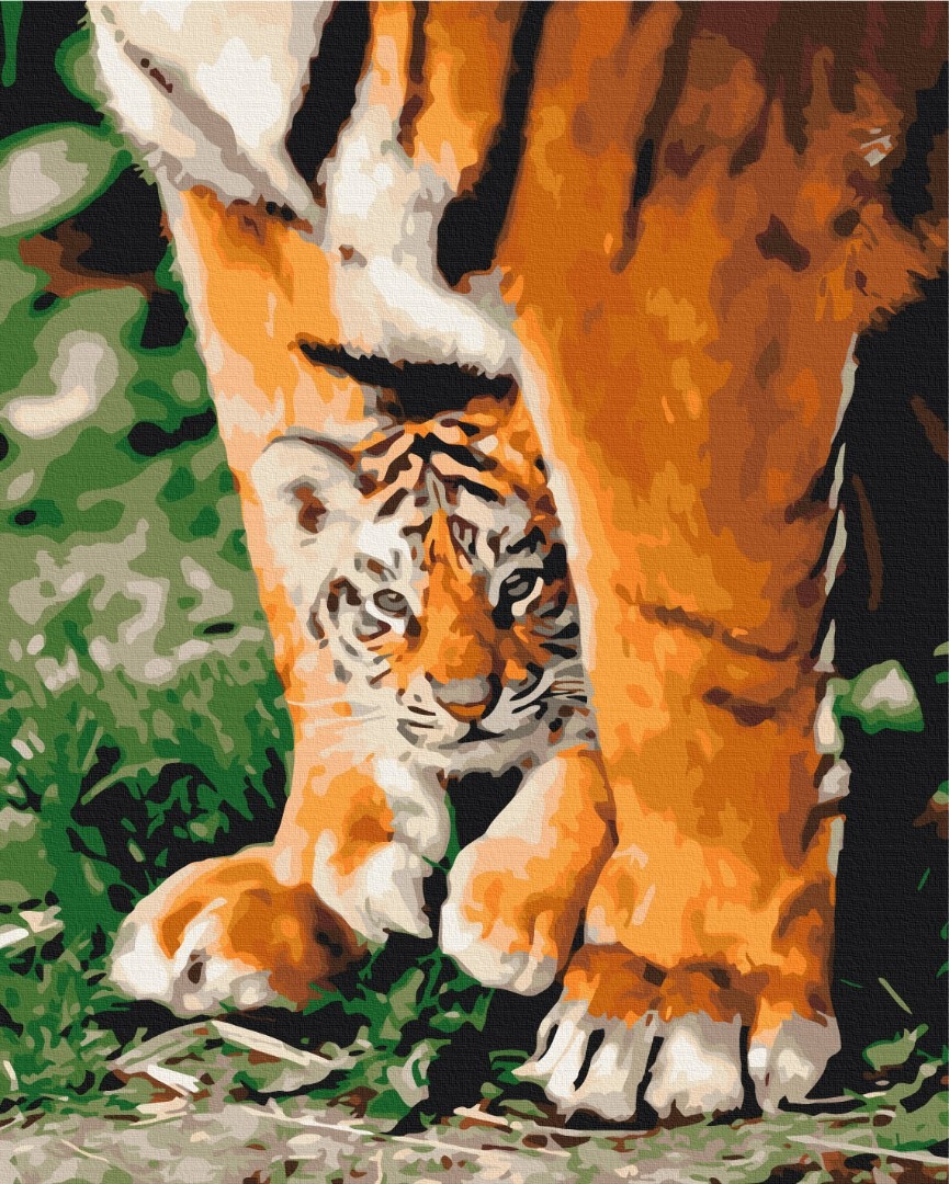 Mal efter tal - Tiger cub in mighty paws