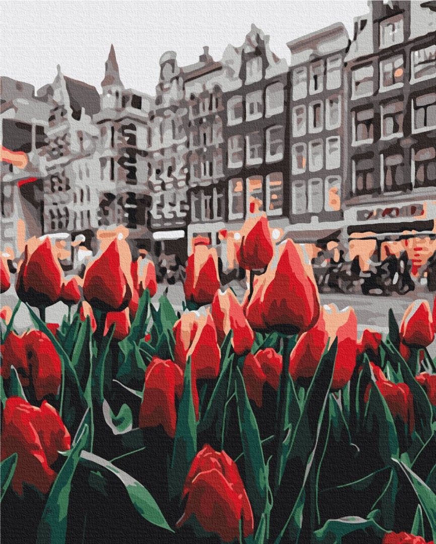 Mal efter tal - Tulips Amsterdam