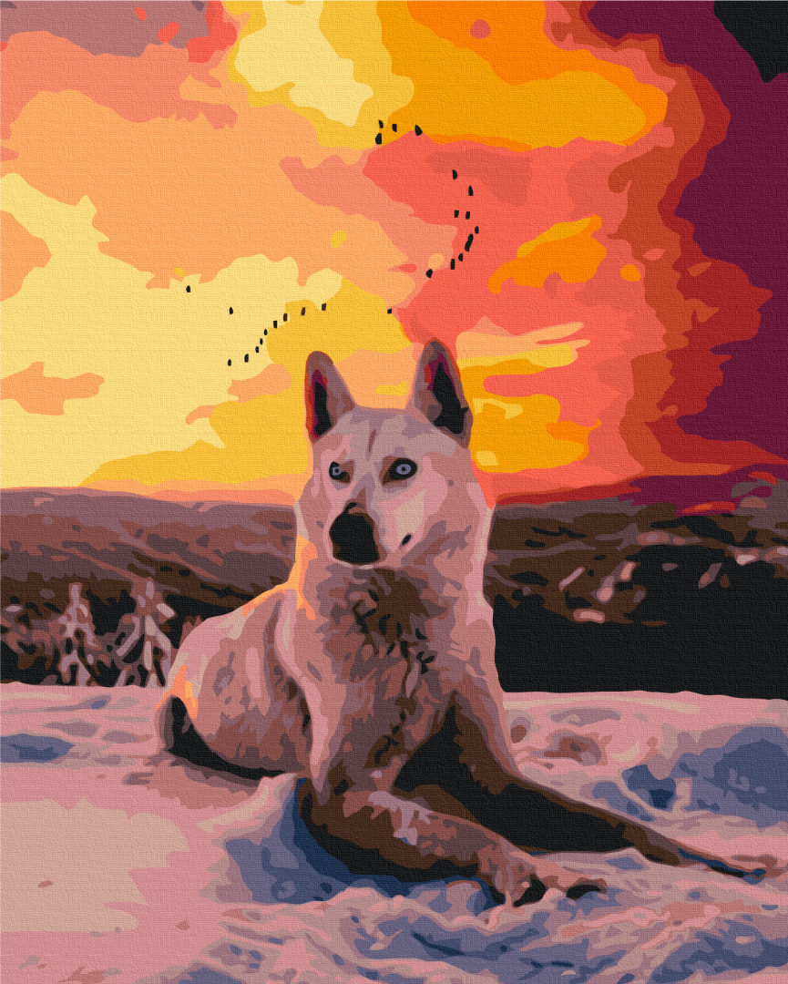 Mal efter tal - Arctic wolf