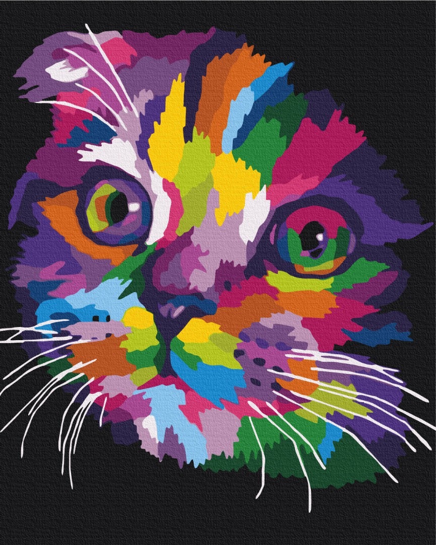 Mal efter tal - Rainbow kitten