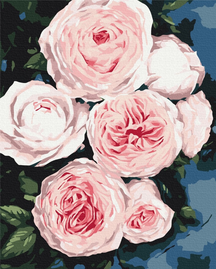 Mal efter tal - Buds of lush roses