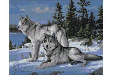Mal efter tal - Protector wolves