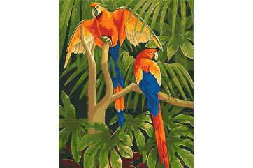 Mal efter tal - Tropical birds