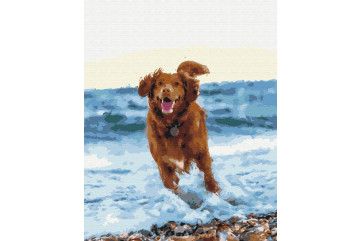 Mal efter tal - Dog in the sea