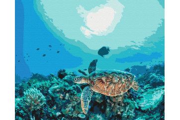 Mal efter tal - Turtle in a coral reef