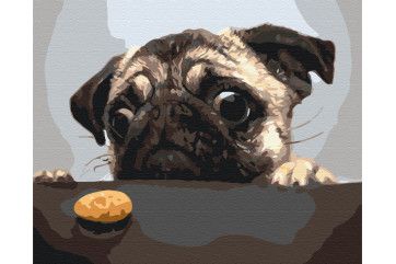 Mal efter tal - Mops