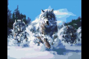 Mal efter tal - Wolves in motion
