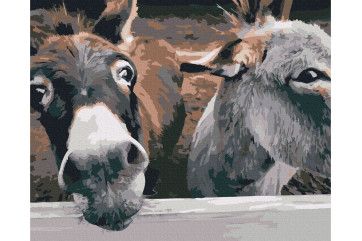 Mal efter tal - Donkeys on the ranch