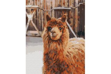 Mal efter tal - Llama on the farm