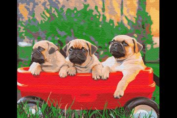 Mal efter tal - Pug-dog