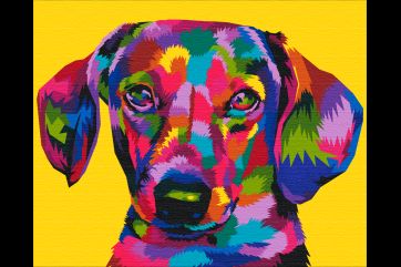 Mal efter tal - Rainbow dachshund