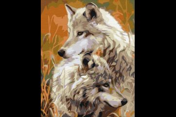 Mal efter tal - A pair of steppe wolves