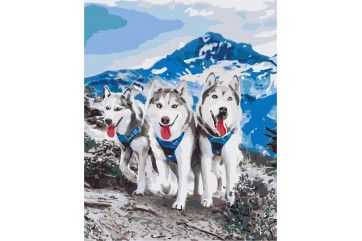 Mal efter tal - Husky friends
