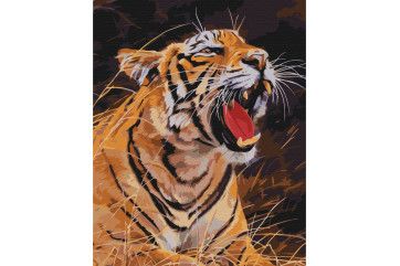 Mal efter tal - Roar of a tiger