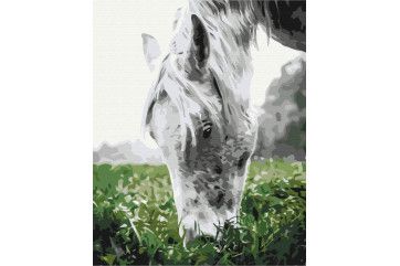 Mal efter tal - Gray horse
