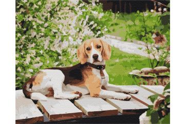 Mal efter tal - Long-eared friend