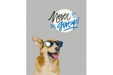 Mal efter tal - Never give up!