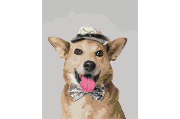Mal efter tal - Mister dog