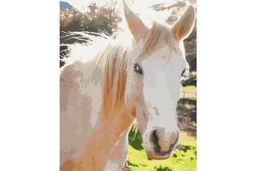 Mal efter tal - White horse