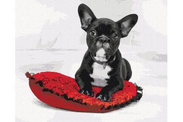 Mal efter tal - My favorite dog