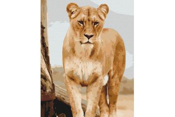 Mal efter tal - Young lioness