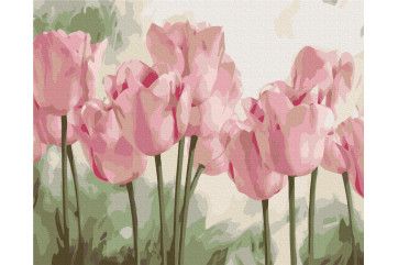 Mal efter tal - Delicate tulips