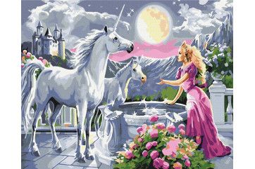 Mal efter tal - Princess and the unicorns