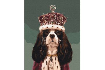 Mal efter tal - King Charles ©Lucia Heffernan