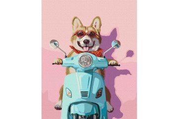 Mal efter tal - Roman Holiday ©Lucia Heffernan