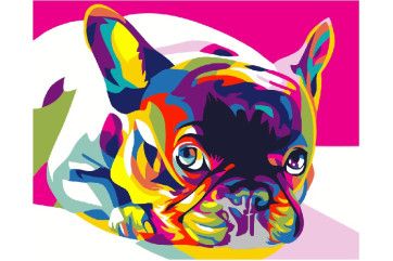 Mal efter tal - Rainbow french bulldog