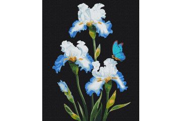 Mal efter tal - Irises © Anna Steshenko