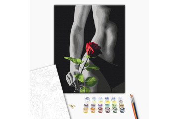 Mal efter tal - Elegant accent