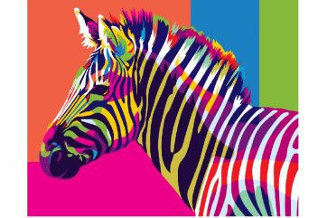 Mal efter tal - Rainbow zebra