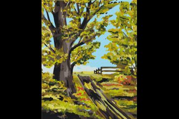 Mal efter tal - Old oak tree © Bona