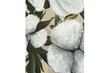 Mal efter tal - Cotton © Yana Biluhina
