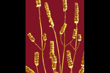 Mal efter tal - Golden plant © Halyna Vitiuk