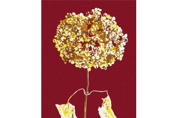 Mal efter tal - Golden hydrangea © Halyna Vitiuk