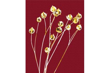 Mal efter tal - Golden linen © Halyna Vitiuk