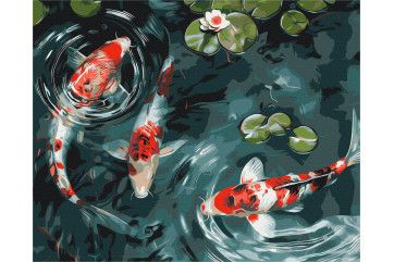 Mal efter tal - Koi carp