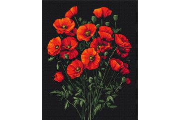 Mal efter tal - The charm of poppies