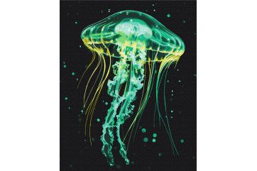 Mal efter tal - Shining jellyfish